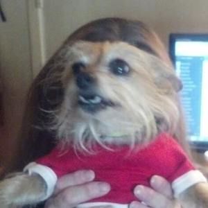 Meet your Posher, Nancy